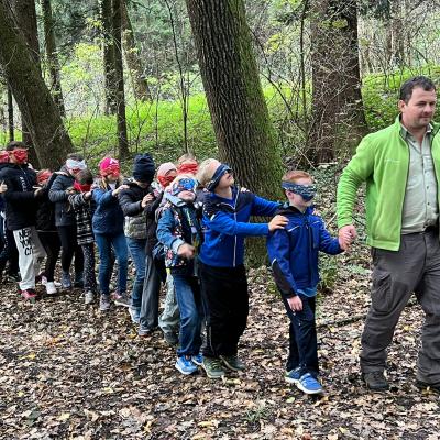 3. Klassen - Waldlehrgang mit einem Förster