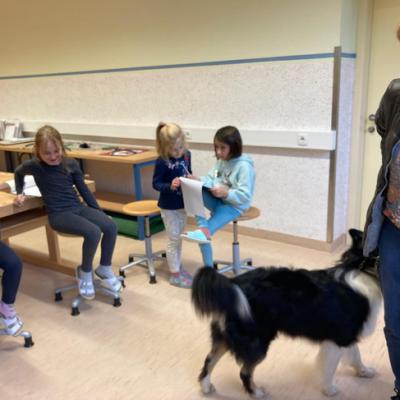 Img 20241011 Wa0012