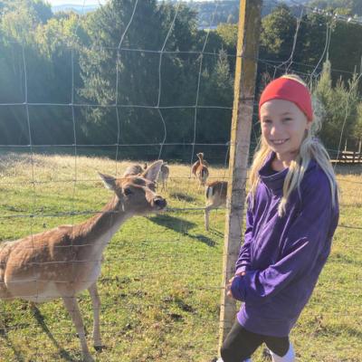 Img 20241011 Wa0018