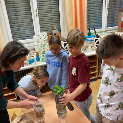 3. Klassen - Bodenprojekt Ökolog