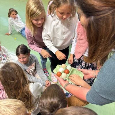 Whatsapp Bild 2025 11 04 Um 12.58.16 72bef048