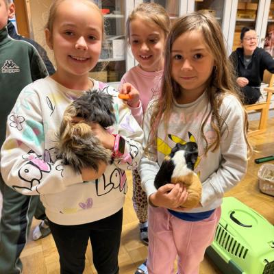 Whatsapp Bild 2025 11 04 Um 12.55.32 60e773f7