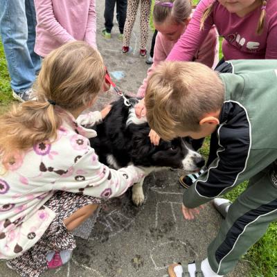 Whatsapp Bild 2025 11 04 Um 12.55.32 E2897ed5