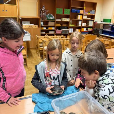 Whatsapp Bild 2025 11 04 Um 12.55.32 F38fe62a