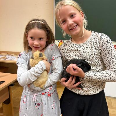 Whatsapp Bild 2025 11 18 Um 16.47.14 E3574d56