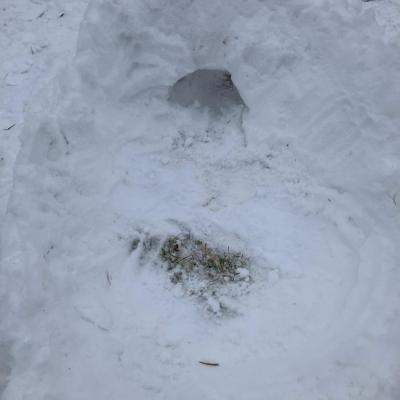 Whatsapp Image 2026 01 07 At 11.51.26 2