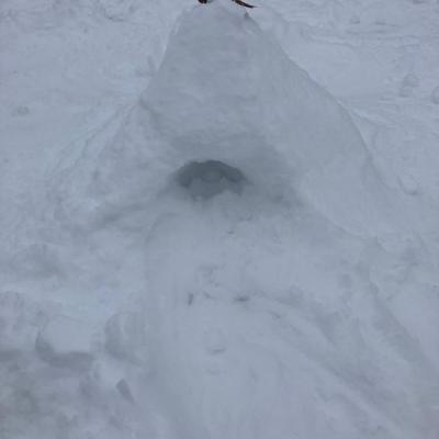 Whatsapp Image 2026 01 07 At 11.51.26