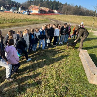 Whatsapp Image 2026 03 13 At 09.30.21 5