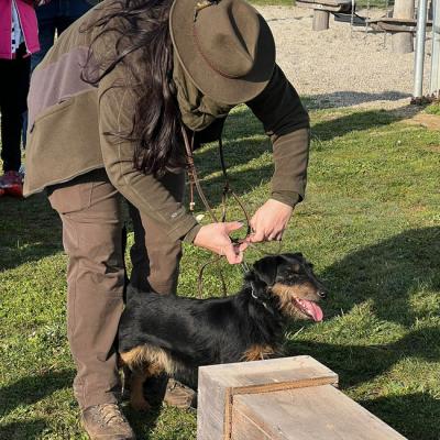 Whatsapp Image 2026 03 13 At 09.30.22