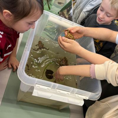 Whatsapp Image 2026 03 13 At 09.30.24 4