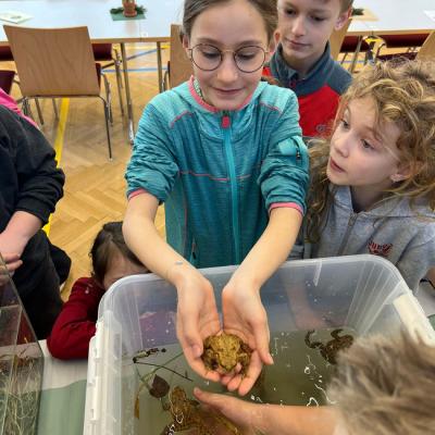 Whatsapp Image 2026 03 13 At 09.30.25