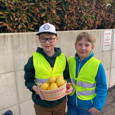 Whatsapp Image 2026 04 07 At 20.02.50