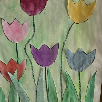 Bild7